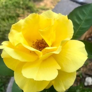 Meet your Posher, Bernice